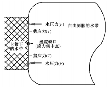 QQ截圖20210728165008